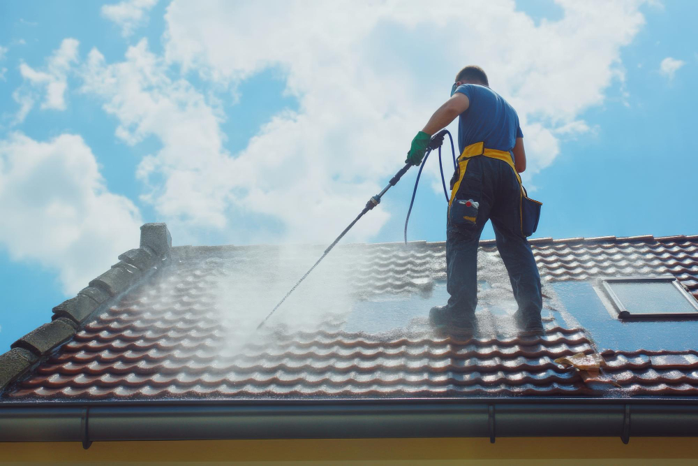 Reasons to Choose Soft Wash Services for Roof Cleaning