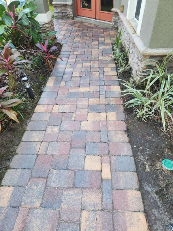 Pressure Washing vs. Power Washing: What Does Your Orlando Home Need?