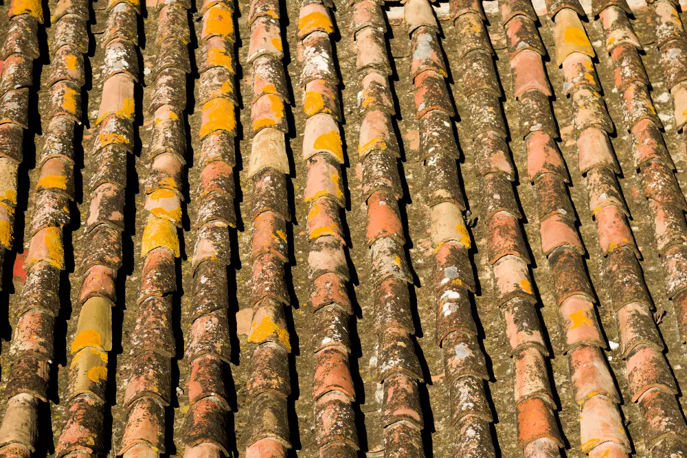 5 Signs Your Roof Needs a Soft Wash