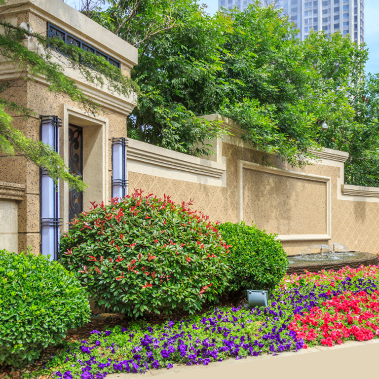 Neighborhood HOA Common Area