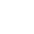 Window icon