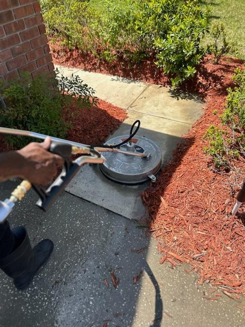 Clean house after a professional soft washing service