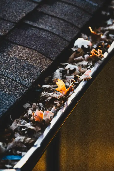 Orlando home gutter packed with leaves and organic debris before professional cleaning