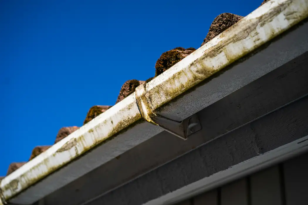 Orlando gutter with heavy algae streaks running alongside a Spanish tile roofline